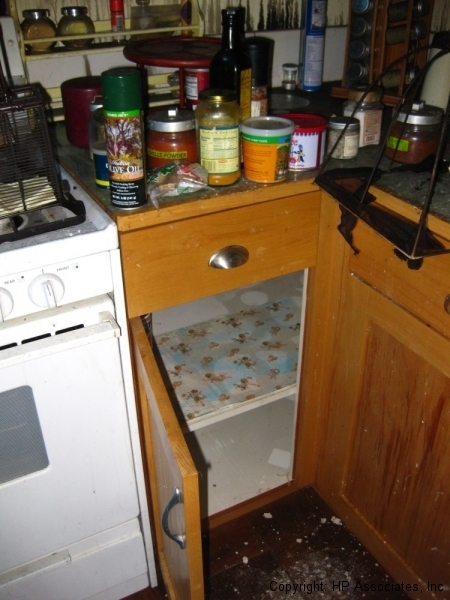 23-ojai-fire-damage-repair-before